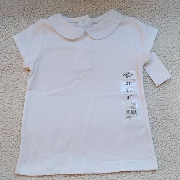 Carter's/OshKosh  shorts & top size 2T - Picture 3 of 5